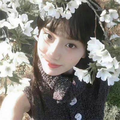 探晴安